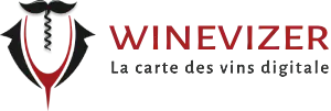 Winevizer - Logo